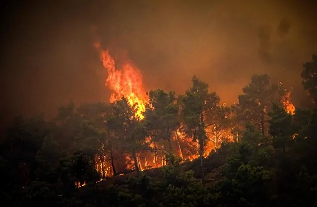 This photograph taken on July 22, 2023 shows pine trees burning in a wildfire on the Greek island of Rhodes. Coastguards lead more than 20 boats in an emergency evacuation to rescue people from the island where fire has been raging out of control for five days. (Photo by Eurokinissi/AFP Photo)