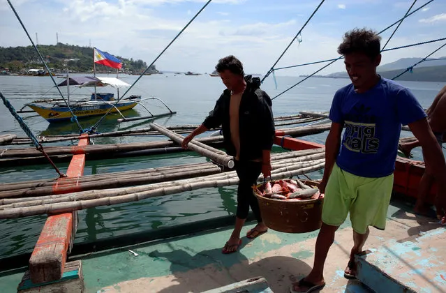 Fishermen, who has just returned from fishing in disputed Scarborough shoal, unload fish from a boat, overlooking a Philippine flag in Subic, Zambales in the Philippines, November 1, 2016. (Photo by Erik De Castro/Reuters)