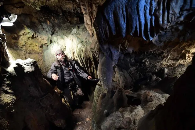Cave specialist Christian Casseyas gives a tour of the Goyet cave, where 96 bones and three teeth from five Neanderthal individuals were found, in Goyet, Belgium, on December 19, 2016. Deep in the caves of Goyet, in present-day Belgium, researchers have found the grisly evidence that the Neanderthals did not just feast on horses or reindeer, but also on each other. (Photo by Emmanuel Dunand/AFP Photo)