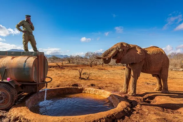 A ranger fills a waterhole in Tsavo, east Kenya in the last decade of October 2023, which is suffering from a drought after no significant rainfall in 18 months. Secluded Africa’s wildlife and community trust carries out daily rounds to prevent the waterholes drying up. (Photo by Bella Falk/The Times)