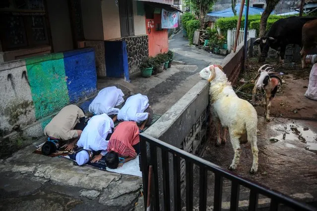 Indonesian Muslims offer Eid al-Adha prayers on the street amid a surge of coronavirus cases in Bandung, West Java province, Indonesia on July 20, 2021. (Photo by Raisan Al Farisi/Antara Foto via Reuters)