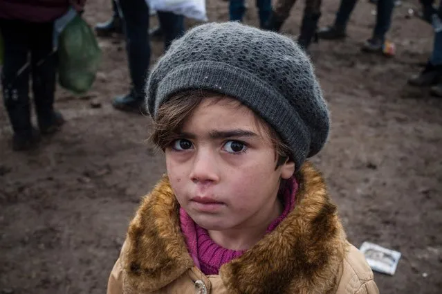 A child waits with other migrants and refugees for security check after crossing the Macedonian border into Serbia, near the village of Miratovac, on January 29, 2016. More than one million migrants and refugees crossed the Mediterranean Sea to Europe in 2015, nearly half of them Syrians, according to the UN refugee agency, UNHCR. The International Organisation for Migration said las week that 31,000 had arrived in Greece already this year. (Photo by Armend Nimani/AFP Photo)