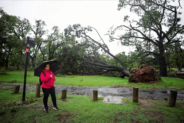 A woman waits for the bus near a damaged tree, after a severe storm, in Buenos Aires, Argentina on December 17, 2023. (Photo by Agustin Marcarian/Reuters)