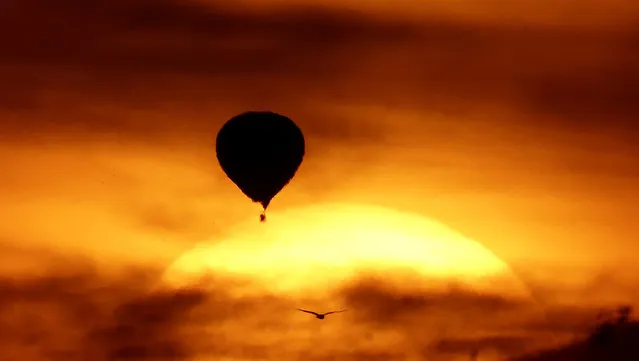 A hot air balloon is silhouetted against the evening sky as the sun sets north of Phoenix on Wednesday, March 2, 2016. (Photo by Charlie Riedel/AP Photo)