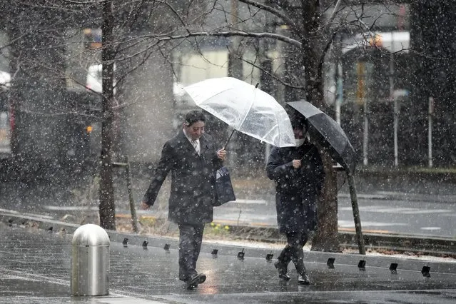 People walk at a street in the snow Monday, February 5, 2024, in Tokyo. Japan. Meteorological Agency warns more metropolitan areas braced for snowfall Monday. (Photo by Eugene Hoshiko/AP Photo)