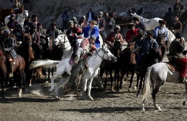 Afghan horse riders compete for the goat during a friendly buzkashi match on the outskirts of Kabul, Afghanistan, Thursday, February 25, 2016. Buzkashi is a traditional and the national sport of Afghanistan, where players compete to place a goat carcass into a goal circle. It was banned during the Taliban rule. (Photo by Rahmat Gul/AP Photo)