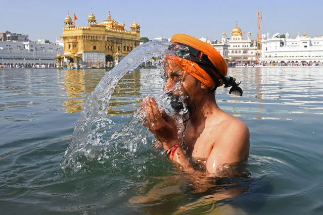 A Sikh devotee takes a dip in holy sarovar or sacred pool on the occasion of the birth anniversary of fourth Sikh Guru Ram Das at the Golden Temple in Amritsar on October 22, 2021. (Photo by Narinder Nanu/AFP Photo)
