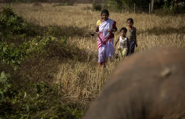 A woman arrives with her children to worship a wild male elephant, one of two killed by a train in Durung Pathar, in the northeastern Indian state of Assam, Wednesday, December 1, 2021. Speeding trains have run down dozens of wild elephants in Assam in the past, forcing the Indian Railways, which runs the trains, to regulate speed in known elephant corridors. Assam, which has a history of man-elephant conflict, has an estimated 5,000 wild Asiatic elephants. (Photo by Anupam Nath/AP Photo)