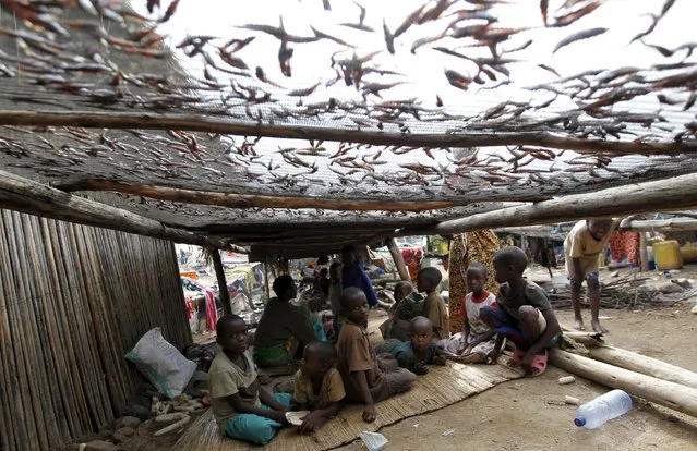 Burundian refugees dry fish on the shores of Lake Tanganyika in Kagunga village in Kigoma region in western Tanzania, as they wait for MV Liemba to transport them to Kigoma township, May 18, 2015. (Photo by Thomas Mukoya/Reuters)