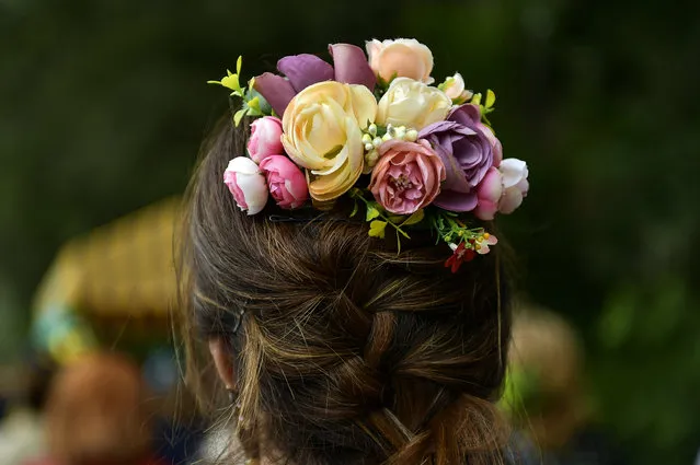A devotee of the Rocio Virgin decorates her hair with flowers while taking part in the “Romeria de El Rocio” in the countryside outside Fitero, northern Spain, Saturday, May 25, 2019. (Photo by Alvaro Barrientos/AP Photo)