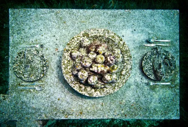 “The last supper”. Underwater Sculpture, Museo Subacuático de Arte, Cancun. (Photo by Jason deCaires Taylor/UnderwaterSculpture)