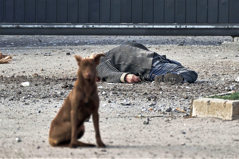 Pictures of the Year 2023, Part 022/224