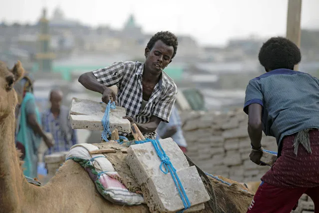 People unload and store salt brought into Berhale town in the Afar region on camel caravan from the Danakil Depression in the northern reaches of the Afar region near the Eritrean boarder in Ethiopia on 27 March 2017. (Photo by Zacharias Abubeker/AFP Photo)