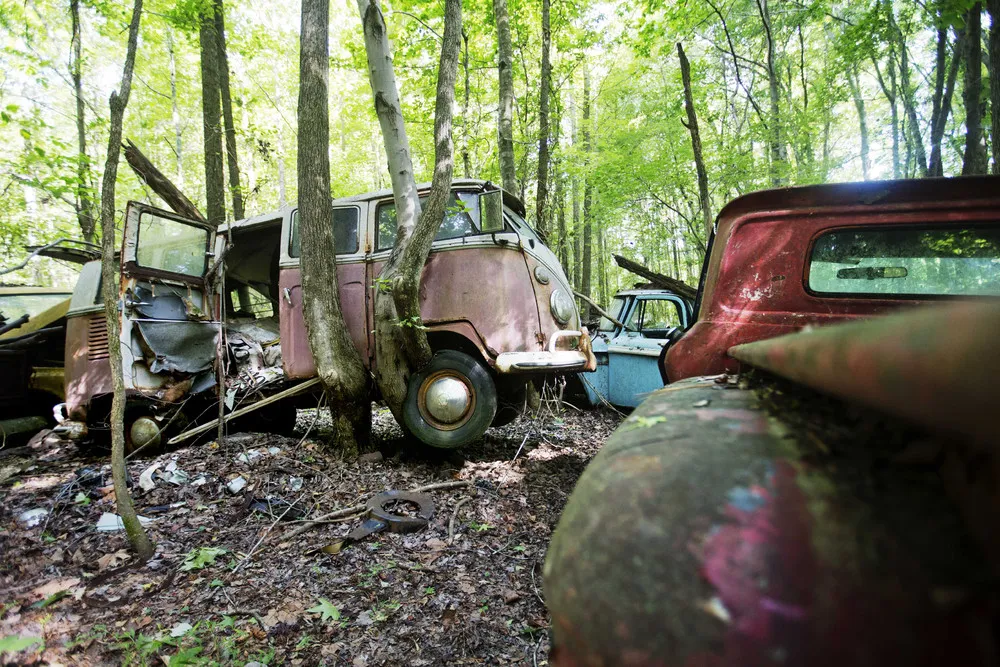 In Rural Georgia, a Junkyard of Classic Cars