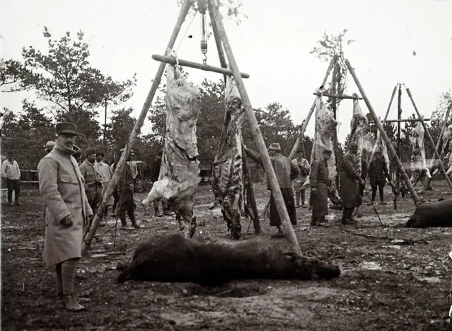 An undated archive picture shows carcasses of animals strung up before being cooked for soldiers, on the Champagne front, eastern France. (Photo by Collection Odette Carrez/Reuters)