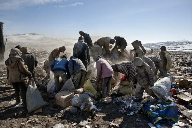 Asia, Mongolia, Ulaan Baator, March 7, 2011. At the garbage dump in Ulaan Baator, many environmental migrants find their first job in the city: collecting scrap bits and selling them for money. (Photo by Alessandro Grassani)