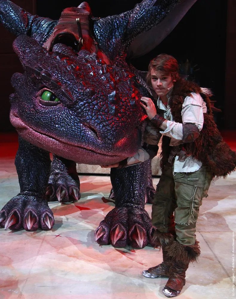 How to Train your Dragon Media Call