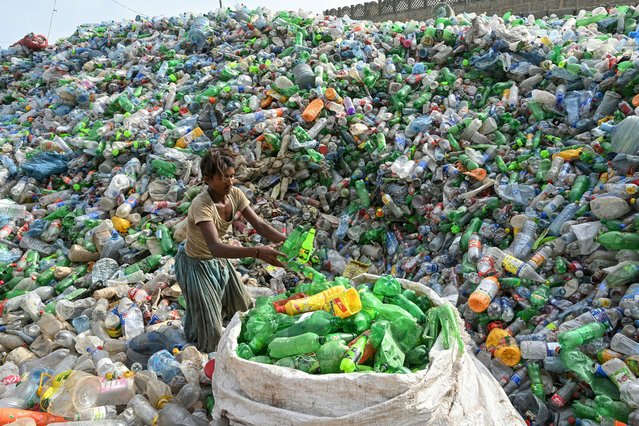 A worker sorts used plastic bottles at a recycling unit in Karachi on September 12, 2024. (Photo by Asif Hassan/AFP Photo)