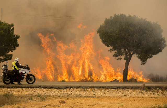 A military police officer stands by his motorcycle next to flames from a forest fire near Mazagon in southern Spain, Sunday June 25, 2017. A forest fire in southern Spain has forced the evacuation of around 1,000 people and is threatening Donana National Park, one of Spain's most important nature reserves and a UNESCO World Heritage site since 1994, and famous for its biodiversity, authorities said Sunday. (Photo by Alberto Diaz/AP Photo)