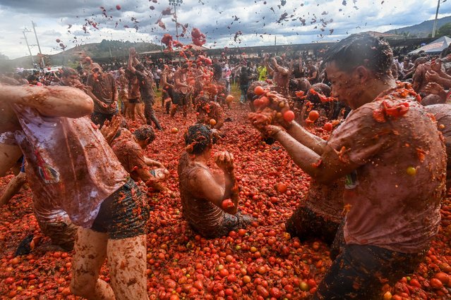 People participate in the tenth annual Tomato Fight Festival, known as “Tomatina”, in Sutamarchan, Boyaca Department, Colombia, on June 11, 2023. This year's festival is the first held since the lifting of the COVID-19 coronavirus pandemic restrictions. (Photo by Juan Barreto/AFP Photo)