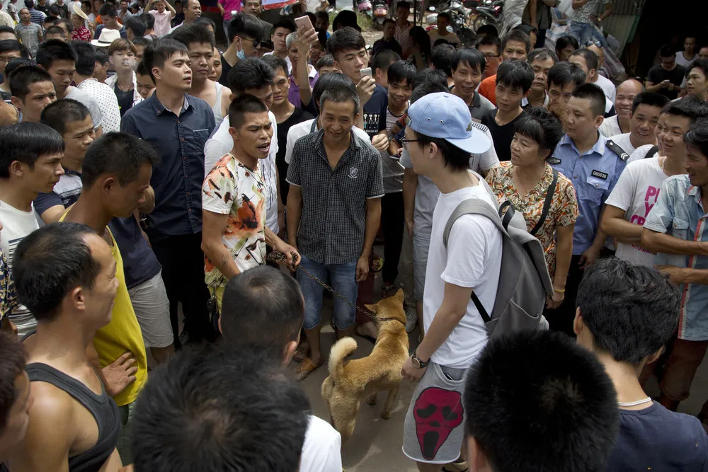 Dog-Meat Eating Festival in China