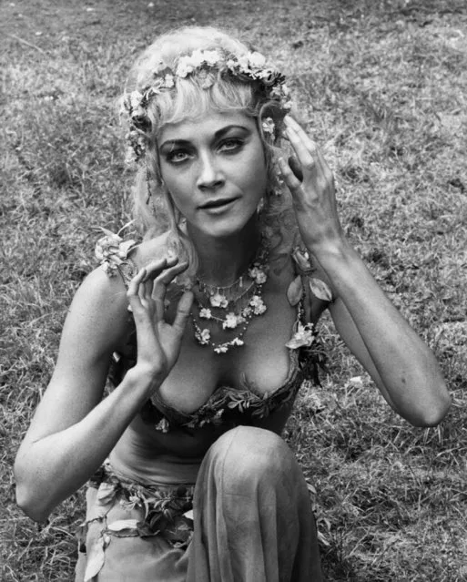 Linda Thorson in her costume as “Titania” in Shakespeare's play “A Midsummer Nights Dream”, 31st May 1974. She is best known for her part as Tara King in the television series “The Avenger”. (Photo by David Ashdown/Keystone/Getty Images)