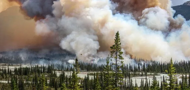 The overall awards winners have been announced in the 2016 Atkins Ciwem environmental photographer of the year competition, an annual international showcase for thought-provoking photography and video that tackles a wide range of environmental themes. The environmental photographer of the year 2016 is awarded to Sara Lindström for her imposing photograph “Wildfire”. Swedish-born Sara picked up photography while studying in South Africa, and is now based in the Canadian Rockies. (Photo by Sara Lindström/2016 EPOTY)