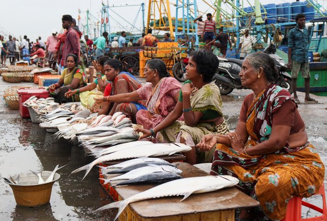 Women wait for customers at the fish harbour in Kasimedu Fish market, Chennai, India, on June 26, 2024. (Photo by Riya Mariyam R./Reuters)