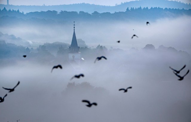 Birds fly near a church in Wehrheim near Frankfurt, Germany, on a foggy Tuesday, September 3, 2024. (Photo by Michael Probst/AP Photo)