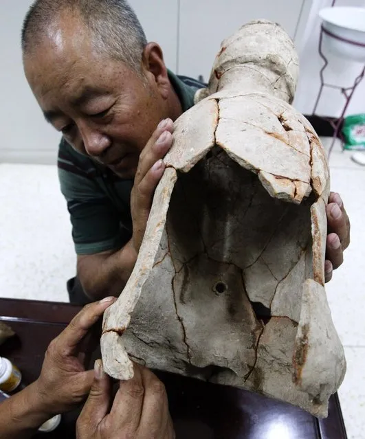 Archaeologists repair a pottery statue found in Aohan Banner, a county-level administrative region in North China's Inner Mongolia autonomous region, July 3, 2012. The statue, which is 55-centemeters tall, dates back to about 5,300 years ago. (Photo by Xinhua)