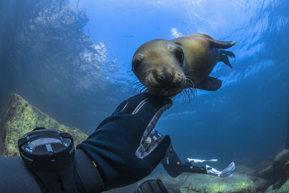 Some Photos: Waterworld