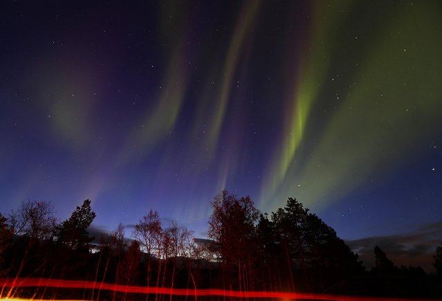 Vehicles drive by as a display of Aurora Borealis (Northern Lights) is seen north of the Arctic Circle, over the village of Mestervik in northern Norway September 30, 2014. (Photo by Yannis Behrakis/Reuters)
