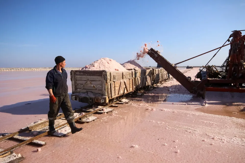 Harvesting Pink Salt in Crimea