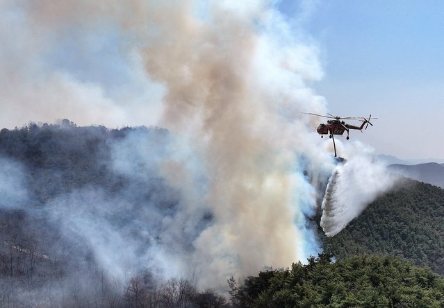 A Korea Forest Service helicopter is used to help extinguish a forest fire near its ignition point in Uiseong, Gyeongbuk, on March 23, 2025. (Photo by Yonhap/AFP Photo)