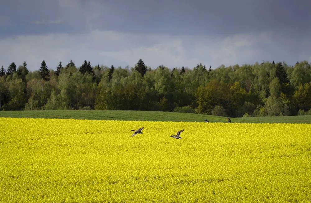 A Look at Life in Belarus