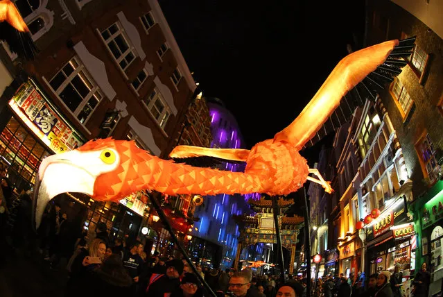 Visitors look at an art display in Chinatown entitled “Flamingo Flyaway” by British artist Jo Pocock during the Lumiere Festival 2018 in London, Britain, 19 January 2018. The festival of light installations displayed in famous streets and landmarks across London, runs from 18 to 21 January. (Photo by Paul Brown/Rex Features/Shutterstock)