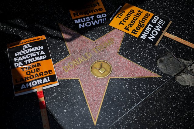 Protest signs are placed next to U.S. President Donald Trump's star on the Hollywood Walk of Fame to denounce him for threatening to strip U.S. comedian Rosie O'Donnell of her citizenship, in Los Angeles, California, U.S., July 14, 2025. (Photo by Daniel Cole/Reuters)