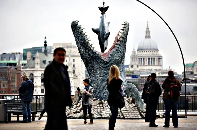 People walk past a model of a Mosasaurus on the South Bank on October 19, 2015 in London, England. The model dinosaur formed part of the launch of Jurassic World which was released on Blu Ray and DVD today.   (Photo by Dan Kitwood/Getty Images)