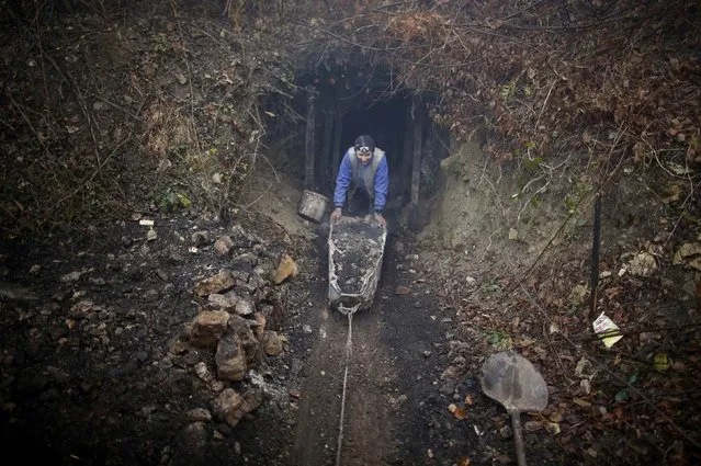 A miner pushes a bathtub loaded with coal out of an illegal coal mine near the Bosnian town of Vitez December 15, 2014. For the past four years, war veteran Ramiz Rizvic with his son and some family members, have been extracting coal from this illegal and unsafe mine using primitive and makeshift tools. Each of the workers earns the equivalent of $12 for a 12 hour shift at 200 meters (655 ft) deep. (Photo by Dado Ruvic/Reuters)