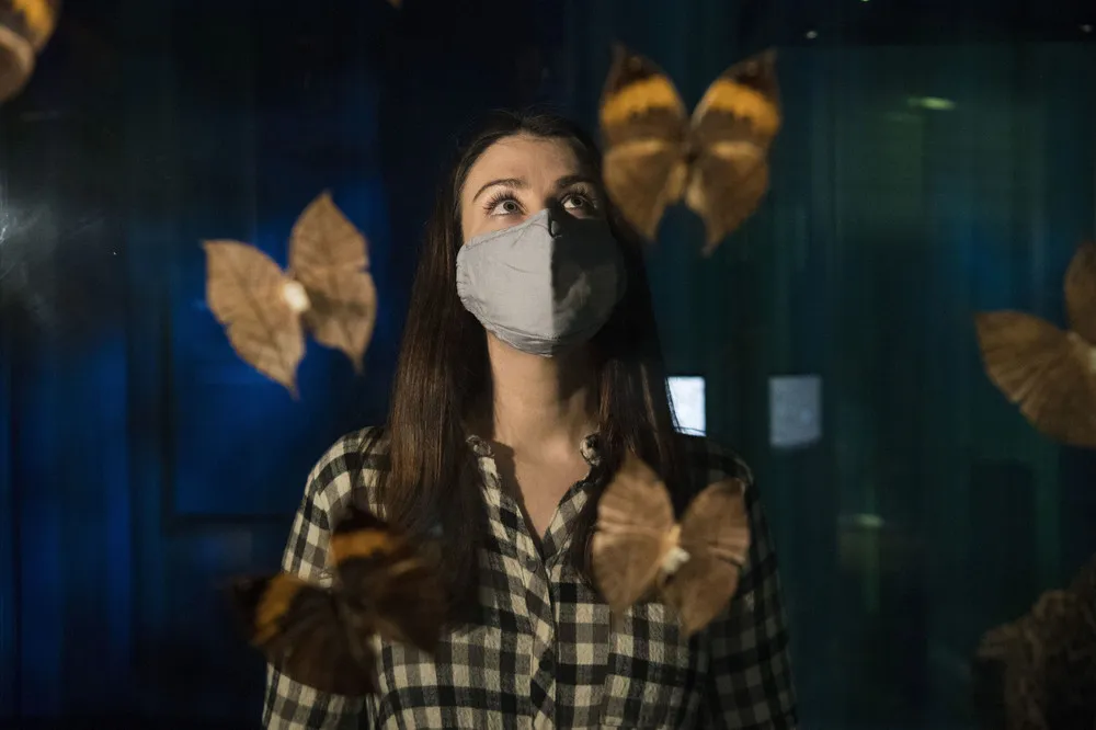 The Day in Photos – December 10, 2020