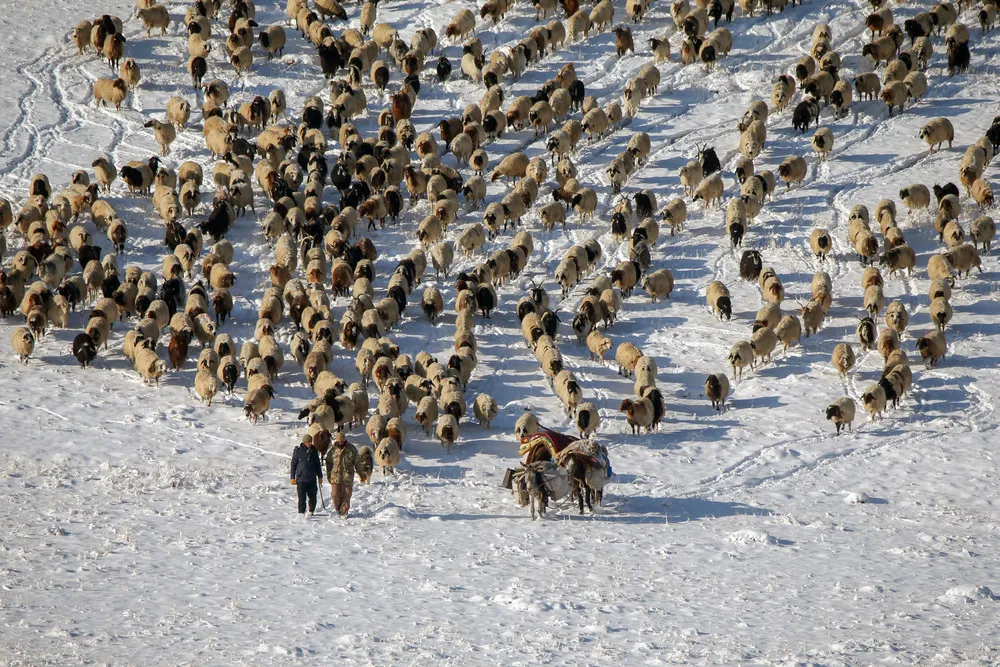 A Look at Life in Turkey