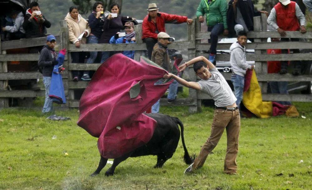 Ecuadorian Bullfighting