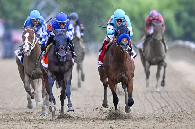 National Treasure (1) with jockey John Velazquez on board (R)  edges out  Blazing Sevens (7) with Brad Ortiz, jr down the stretch and wins the 148th running of the Preakness Stakes at Pimlico Race Course on May 20, 2023. (Photo by Jonathan Newton/The Washington Post)