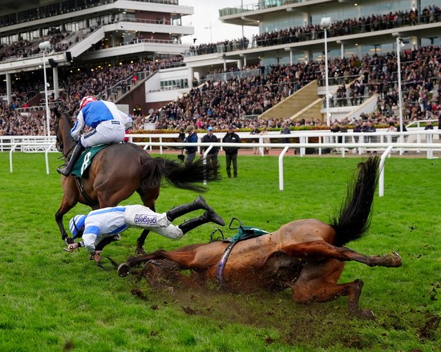 Jordans Cross (front centre) ridden by jockey Ben Godfrey falls at the last fence as Kdeux Saint Fray (left rear) ridden by jockey Jonathan Burke go on to win the Bottlegreen Novices' Limited Handicap Chase during Carnival Sunday at Cheltenham Racecourse on Sunday, November 16, 2025. (Photo by David Davies/PA Images via Getty Images)
