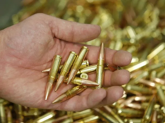 A worker holds finished 300 AAC Blackout rounds at Barnes Bullets in Mona, Utah, January 6, 2015. (Photo by George Frey/Reuters)