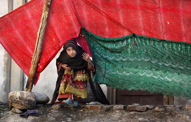 In this Sunday, November 29, 2015 photo, an internally displaced girl peeks from a tent after her family left their village in Rodat district of Jalalabad east of Kabul, Afghanistan. Nangarhar's chief refugee official, Ghulam Haidar Faqirzai, said that at least 25,200 families, or more than 170,000 people, have been displaced across the province, either by Islamic State militants or by perceived threats from the group. As the winter sets in, the relief needs of the displaced are intensifying, he warned. (Photo by Rahmat Gul/AP Photo)