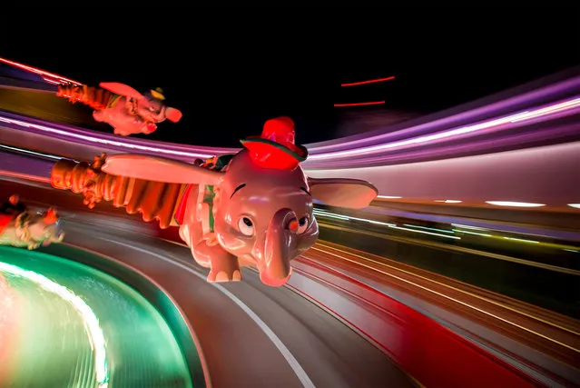 “Dumbo Soars in New Fantasyland”. (Photo and caption by Tom Bricker)