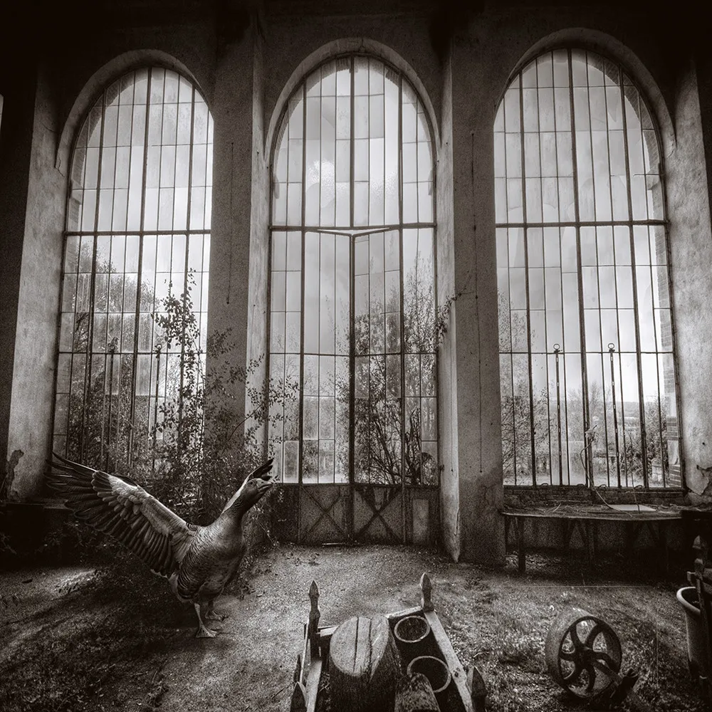 Photo Art by Yves Lecoq, Part 2