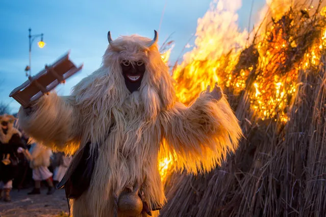 A reveler wearing sheepfur costume is seen in front of a bonfire on which they burn a coffin symbolizing winter during the closing ceremony of the traditional carnival parade in Mohacs, 189 kms south of Budapest, Hungary, 07 February 2016. (Photo by Tamas Soki/EPA)