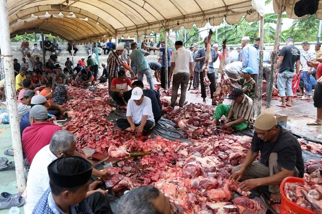 Indonesians cut pieces of meat before being distributed during Eid al-Adha celebrations in Ule Kareng, Banda Aceh, Indonesia, 20 July 2021. Eid al-Adha is the holiest of the two Muslim holidays celebrated each year, it marks the yearly Muslim pilgrimage (Hajj) to visit Mecca, the holiest place in Islam. Muslims slaughter a sacrificial animal and split the meat into three parts, one for the family, one for friends and relatives, and one for the poor and needy. (Photo by Hotli Simanjuntak/EPA/EFE)